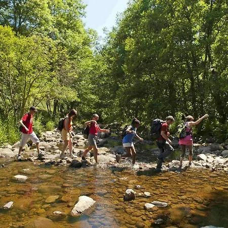 Gite Confortable Et Clos, Ideal Pour Vacances Nature Entre Haute-loire Et Ardeche - Fr-1-582-335 * Vielprat